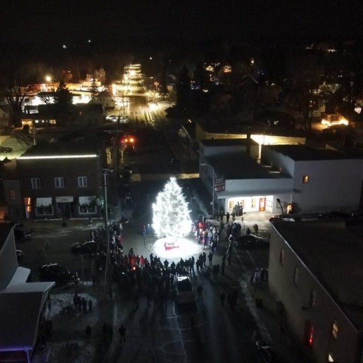 Ariel Tree Lighting 3 2024 Ariel Tree Lighting 3 2024